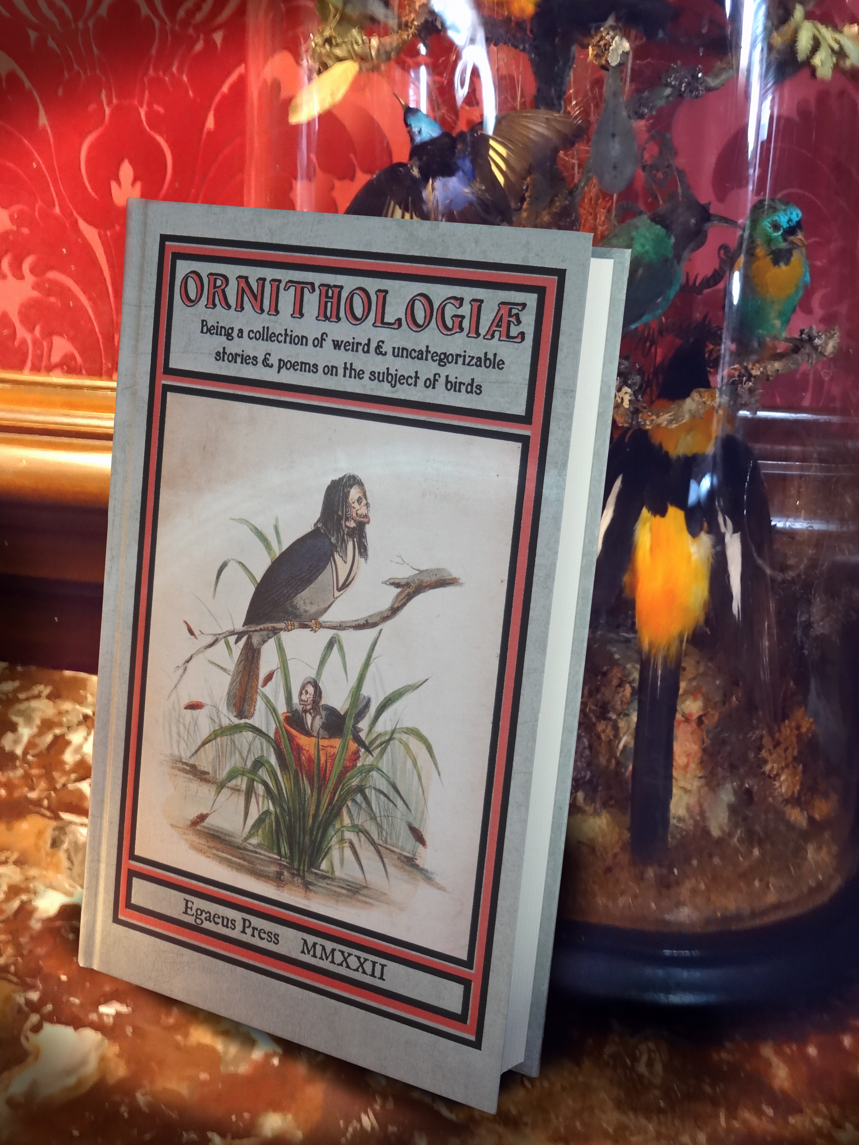Ornithologiae (Hardcover)