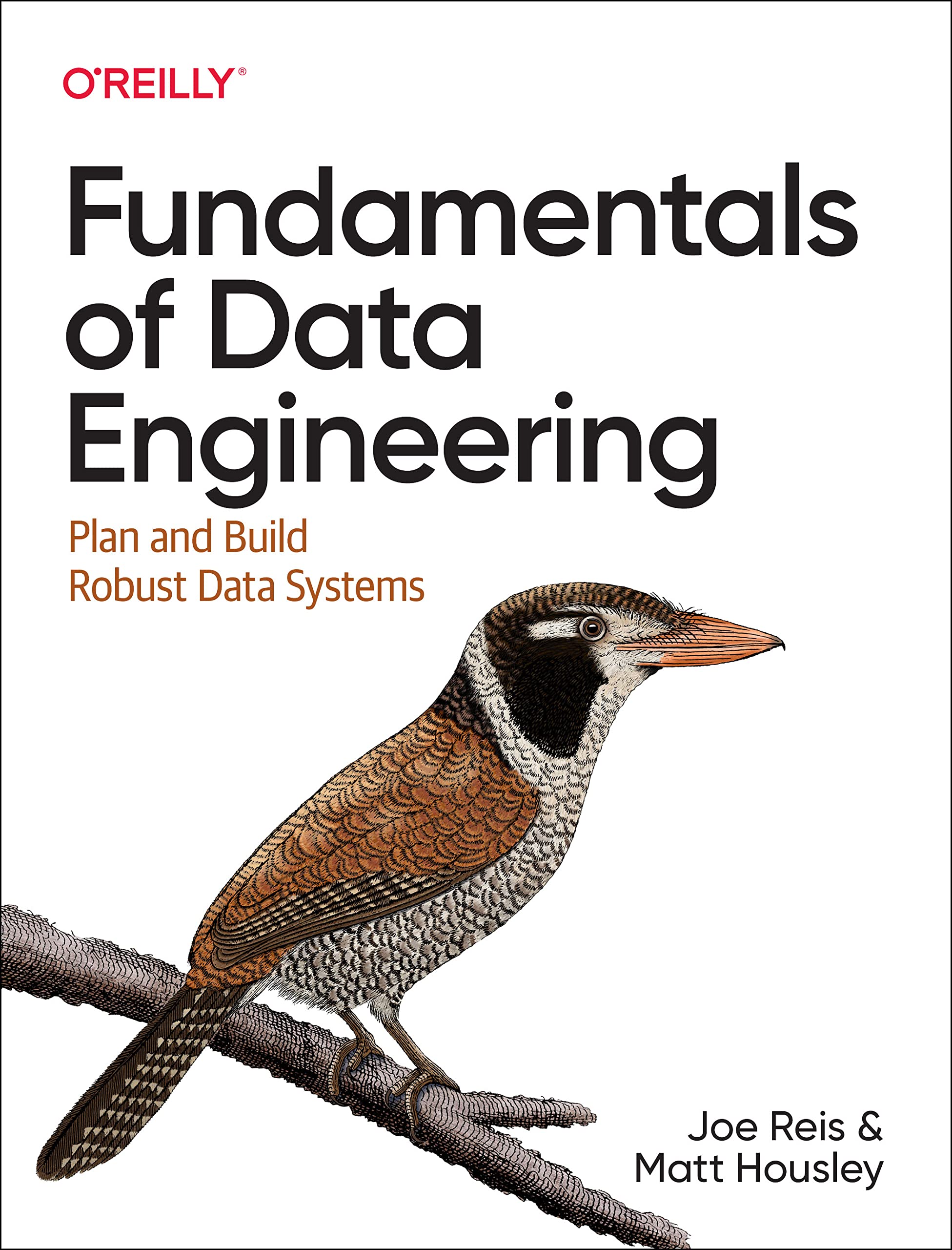 Fundamentals of Data Engineering: Plan and Build Robust Data Systems (Paperback)