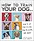 How to Train Your Dog: A Relationship-Based Approach for a Well-Behaved Dog