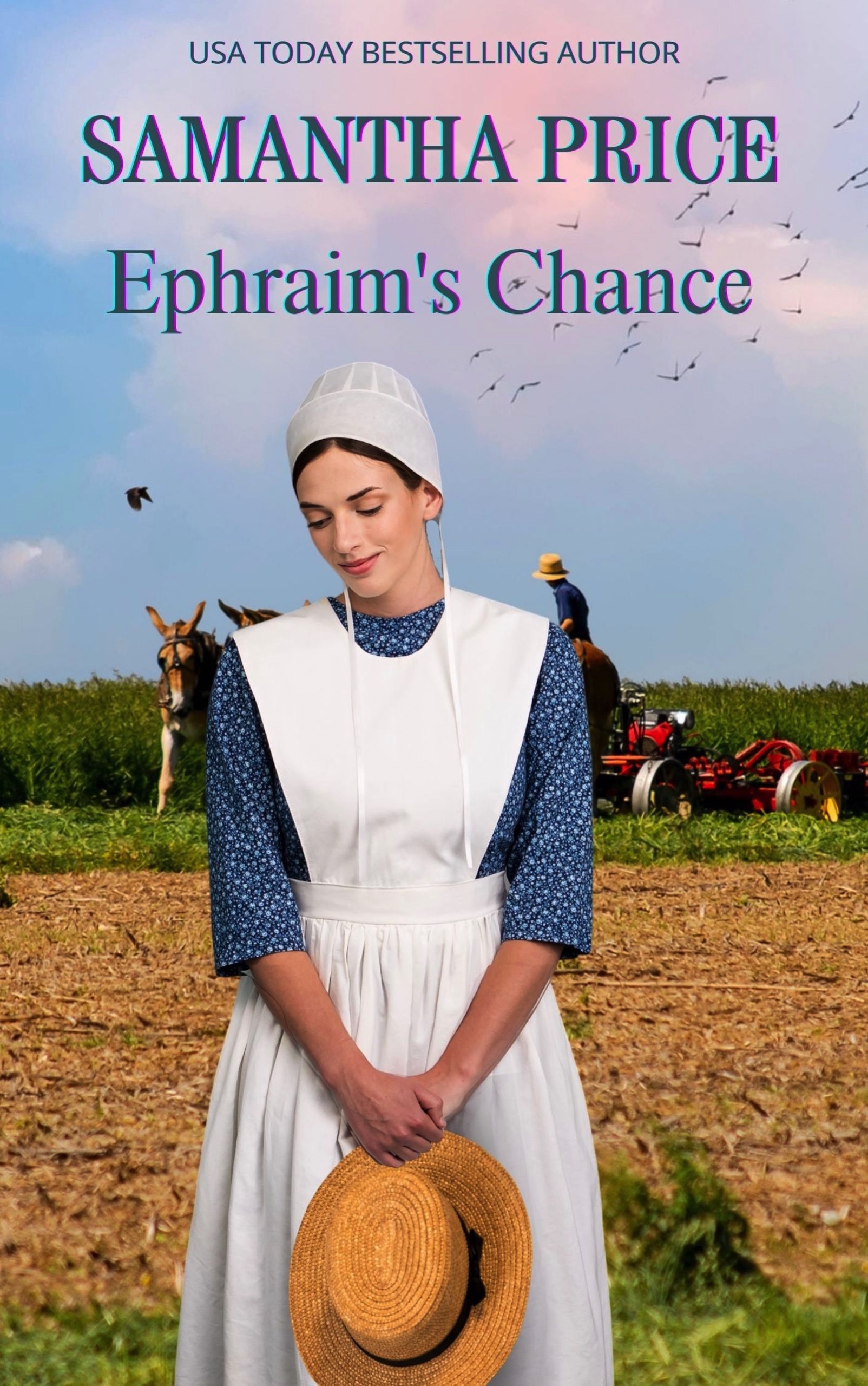 Ephraim's Chance (Amish Romance Secrets #4)