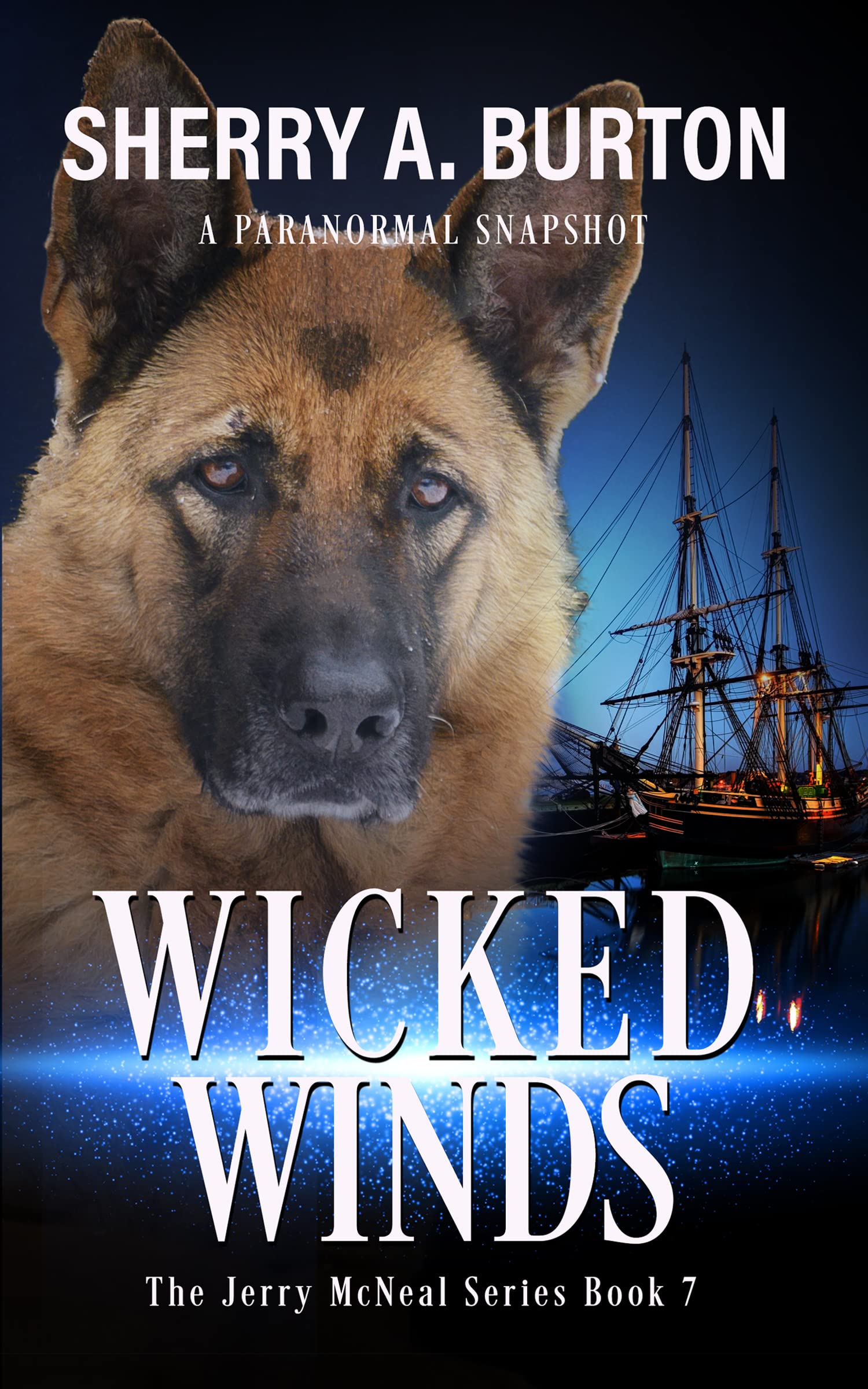 Wicked Winds (Jerry McNeal, #7)