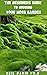 THE BEGINNERS GUIDE TO GROWING YOUR MOSS GARDEN by Neil  David