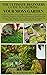 THE ULTIMATE BEGINNERS GUIDE TO GROWING YOUR MOSS GARDEN by Raymond Klef