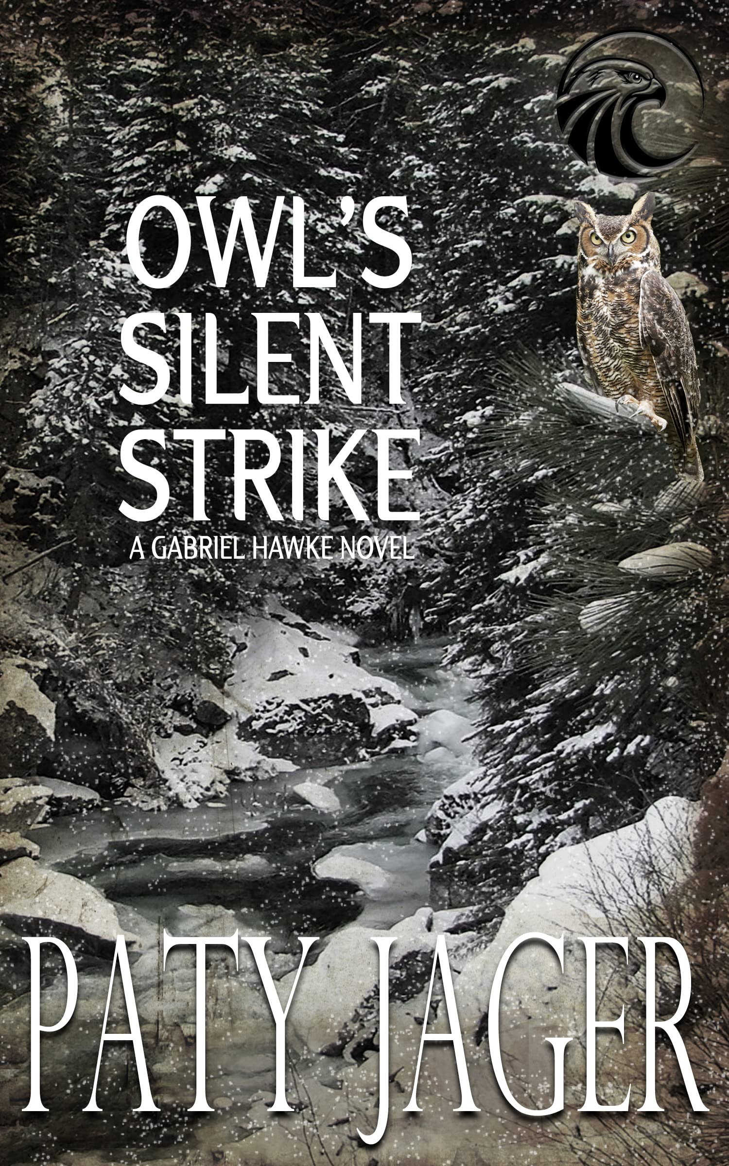 Owl's Silent Strike (Gabriel Hawke, #9)