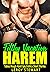 HAREM FILTHY VACATION by Claire Allen