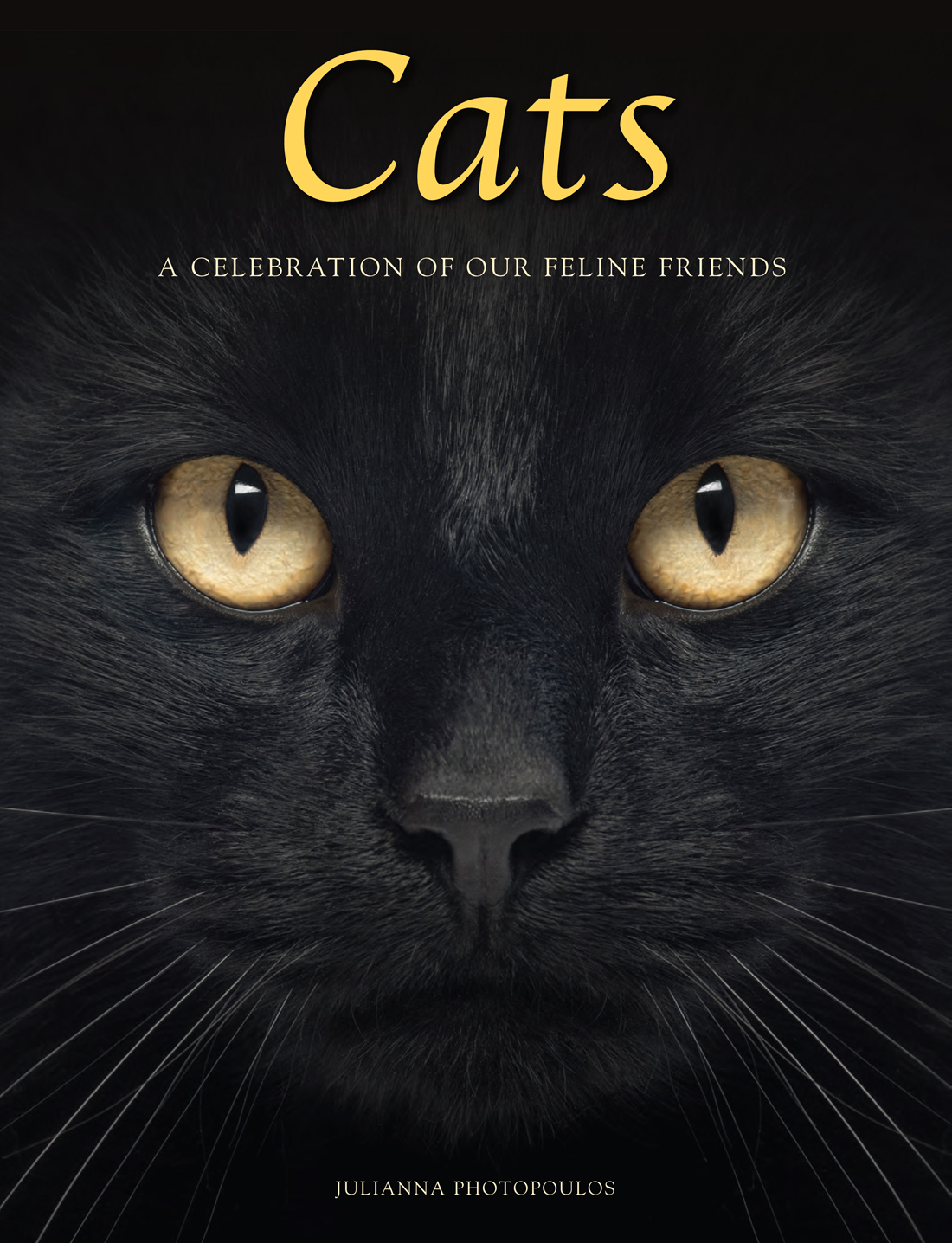 Cats: A Celebration of our Feline Friends
