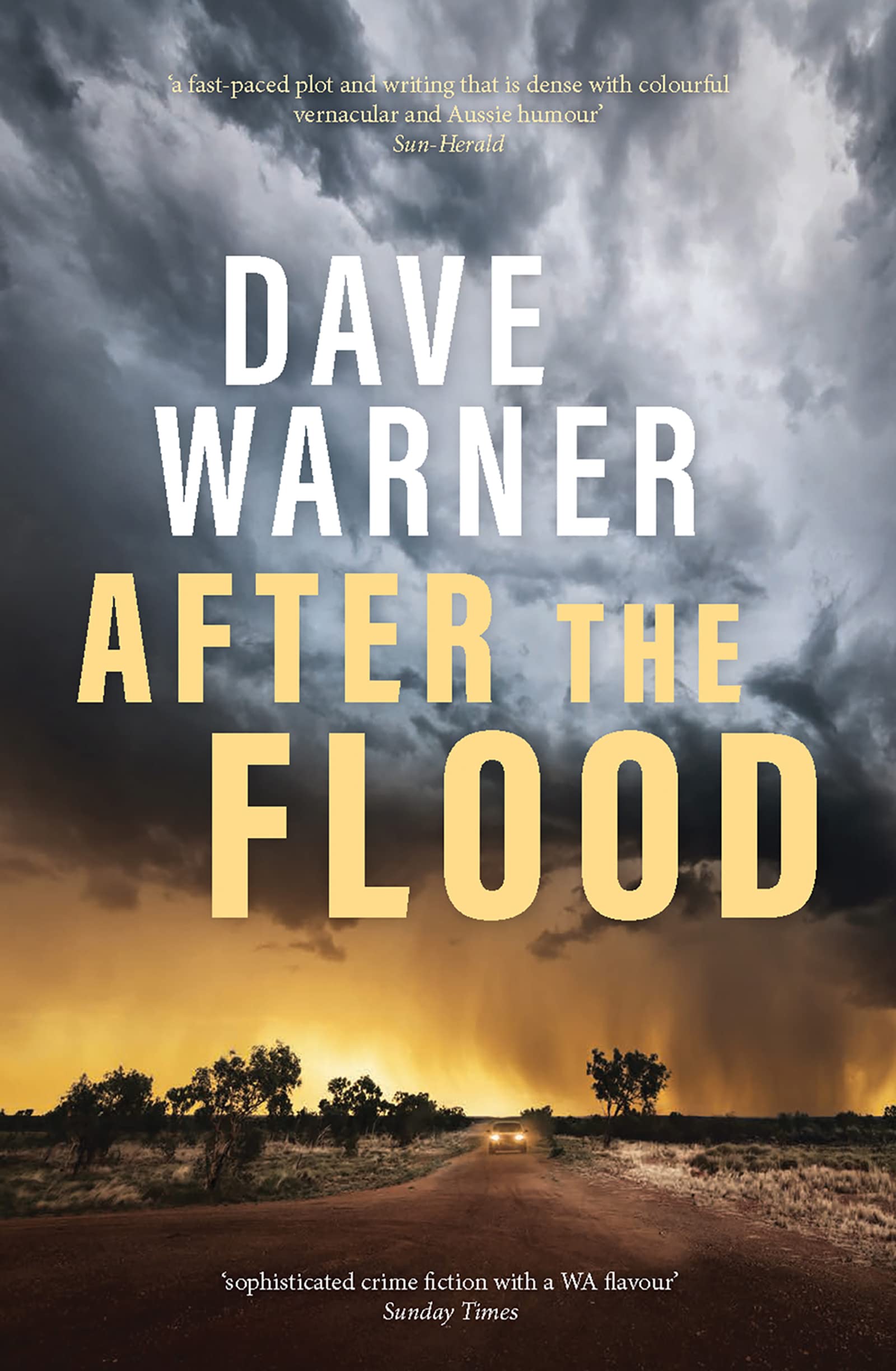 After the Flood (Dan Clement, #4)