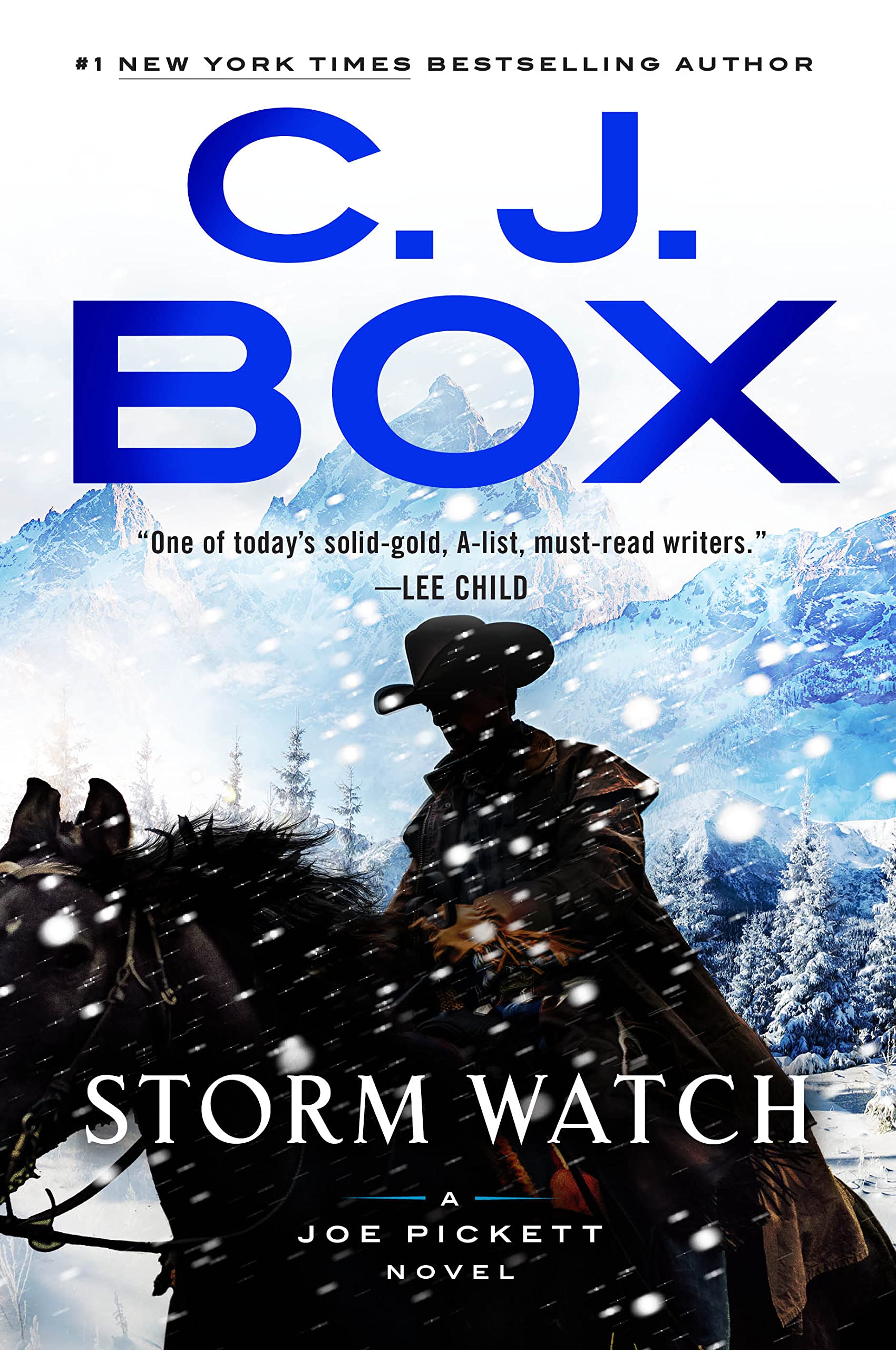 Storm Watch (Joe Pickett, #23)