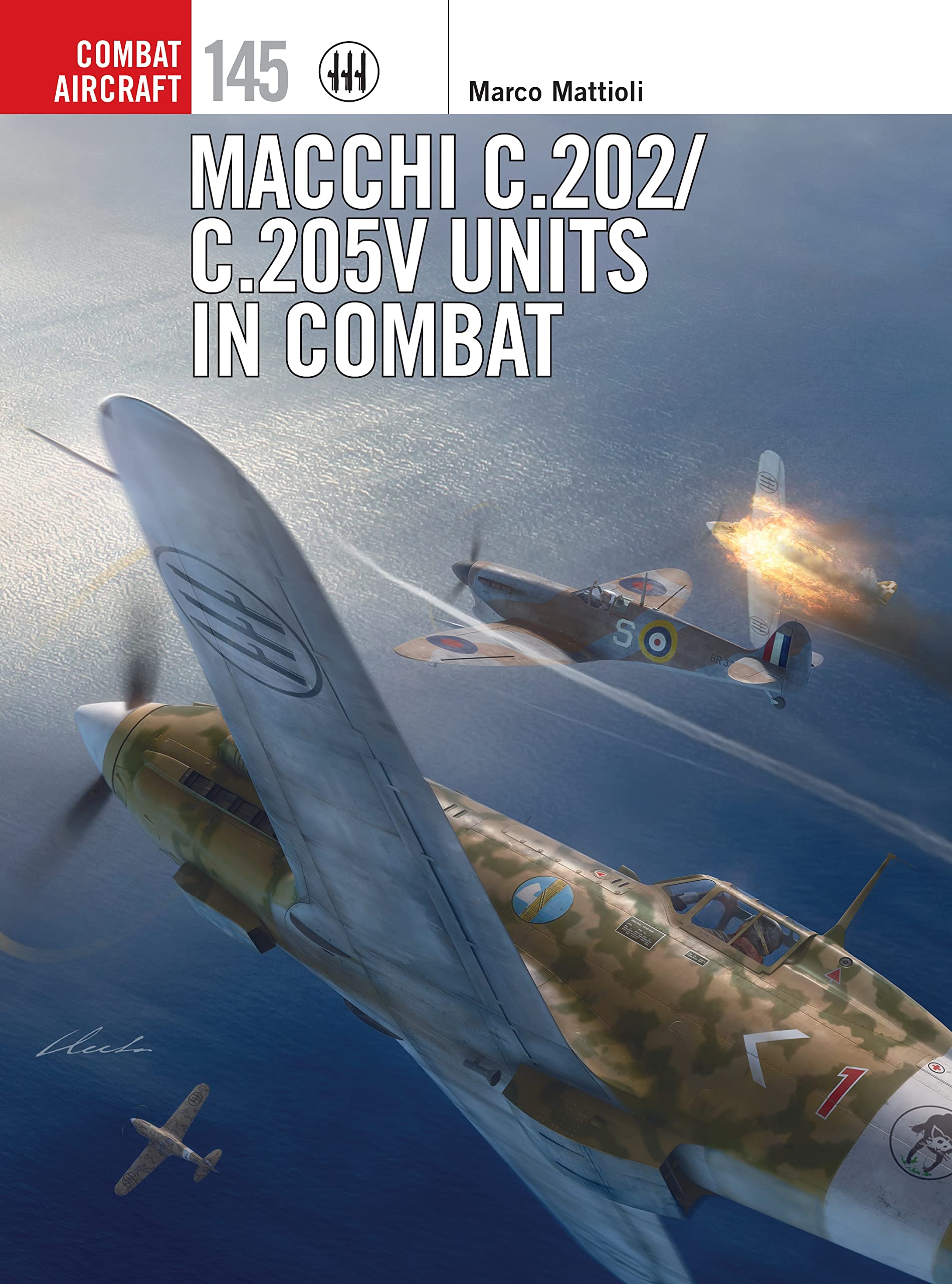 Macchi C.202/C.205V Units in Combat (Kindle Edition)
