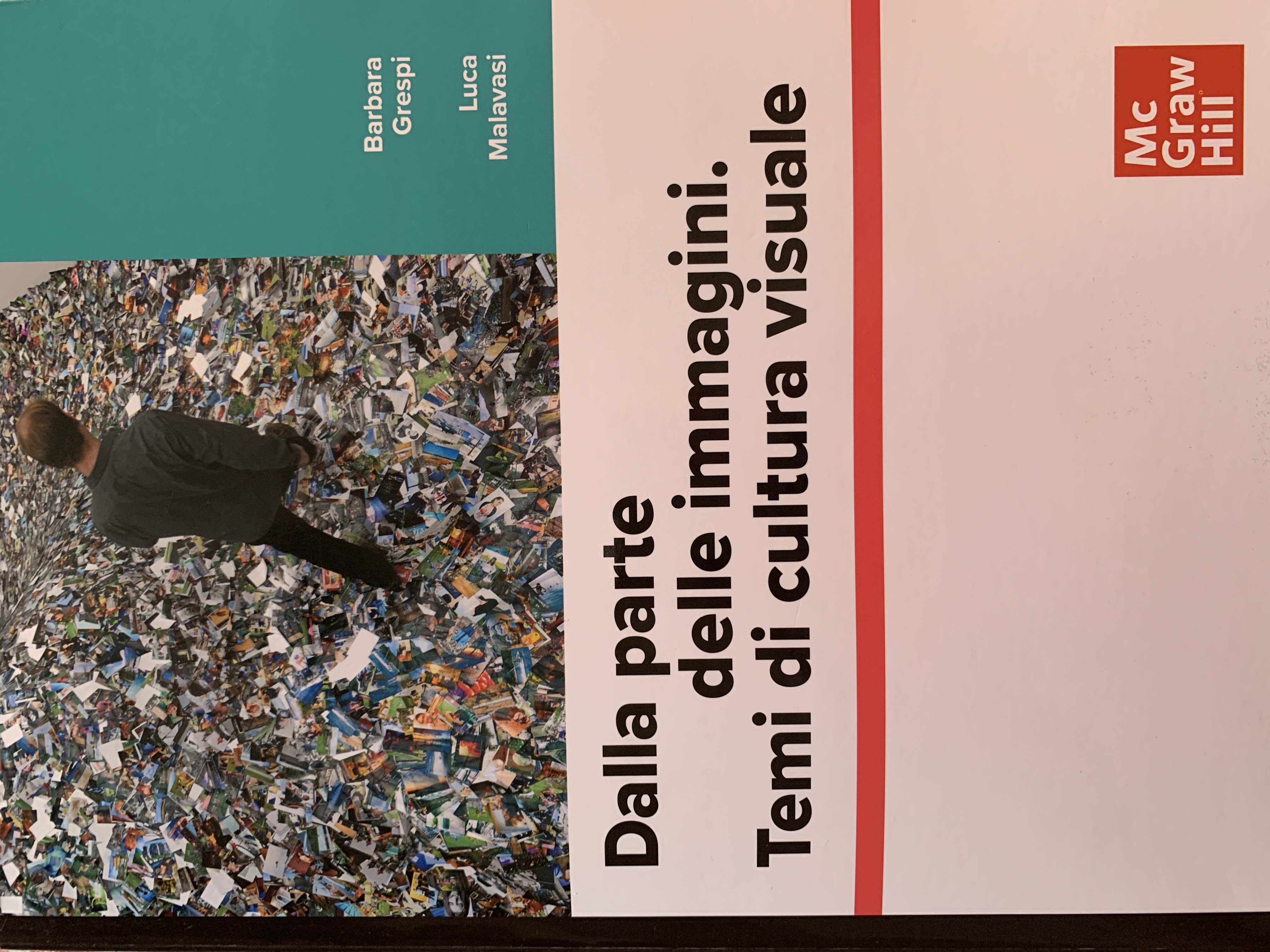 Dalla parte delle immagini: temi di cultura visuale