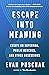 Escape into Meaning: Essays on Superman, Public Benches, and Other Obsessions