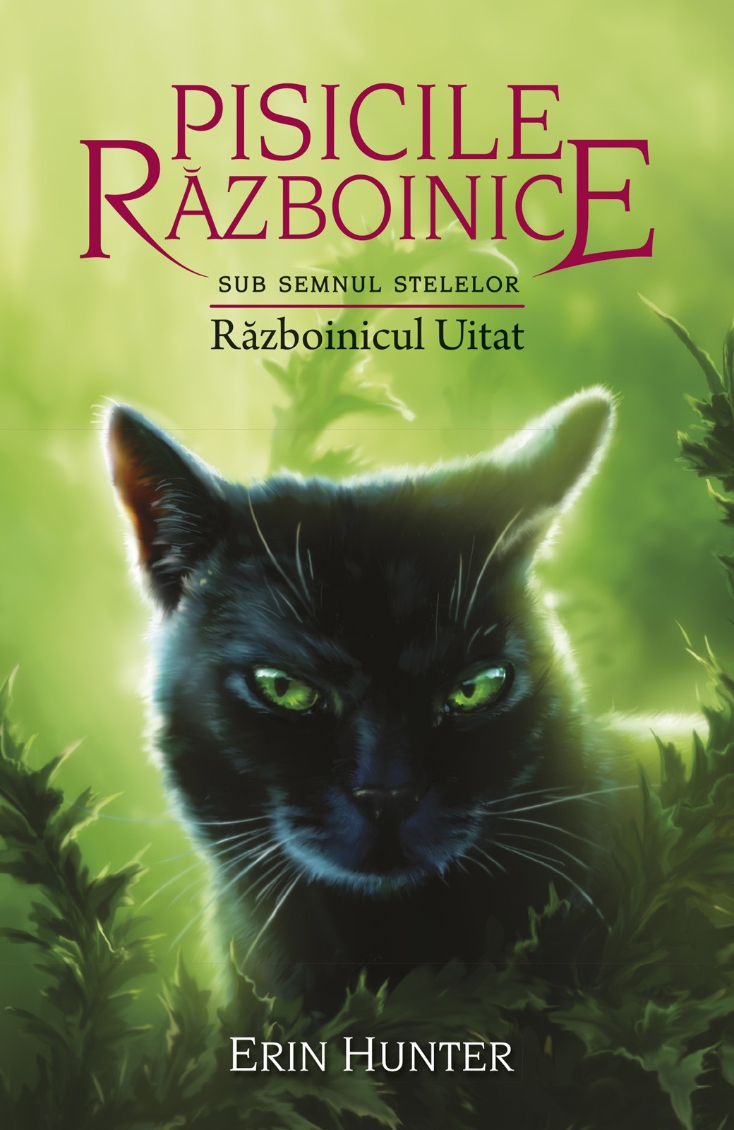 Războinicul Uitat (Pisicile Războinice: Sub Semnul Stelelor #5)