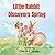 Little Rabbit Discovers Spring: Learn About the Senses (Little Rabbit's Learning Adventures)