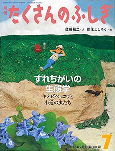 すれちがいの生態学/Meeting and missing each other キオビベッコウと小道の虫たち (月刊たくさんのふしぎ2017年7月号)