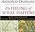 The Feeling of What Happens: Body and Emotion in the Making of Consciousness