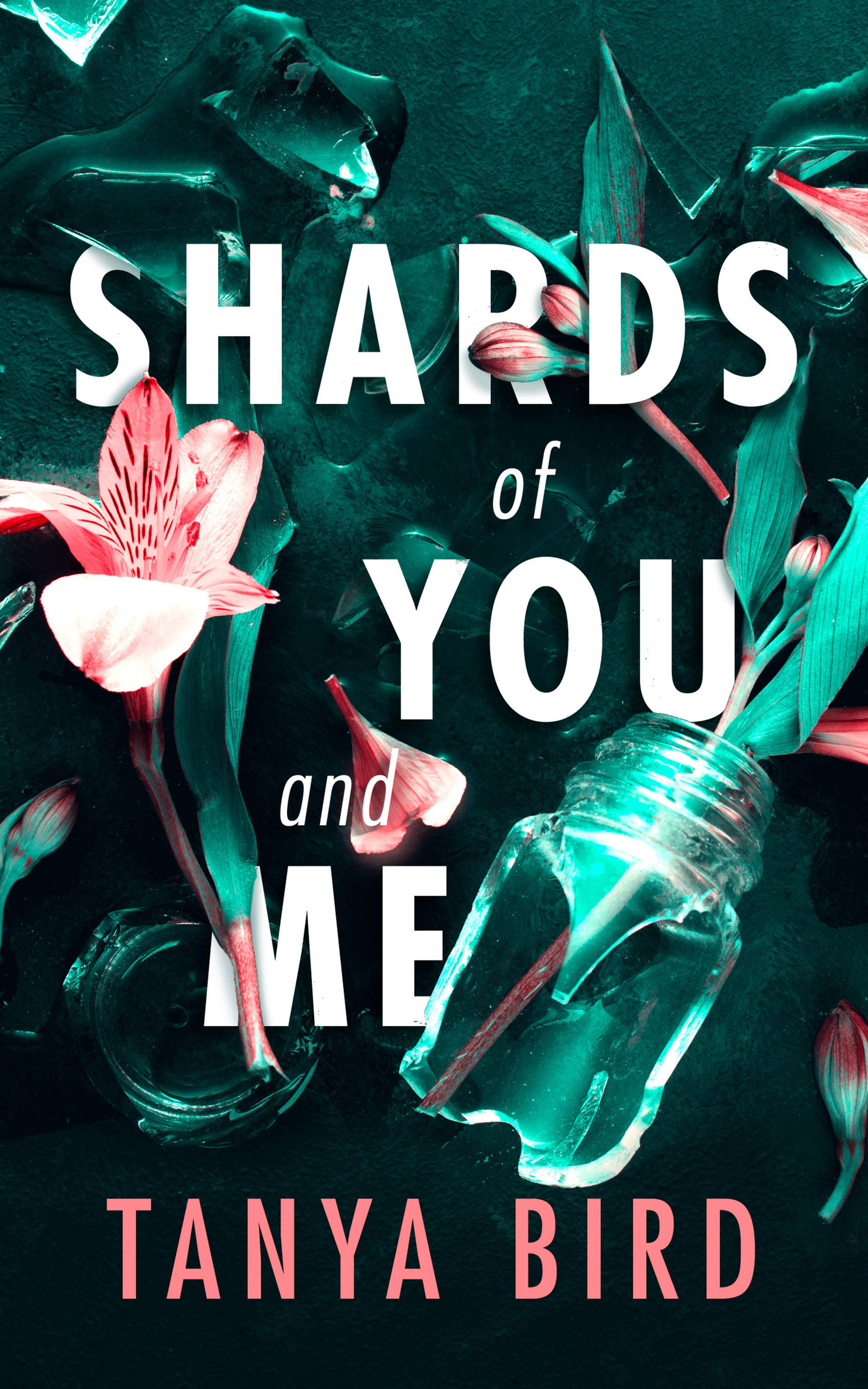 Shards of You and Me (Unknown Binding)