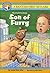 Son of Furry