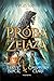 Próba żelaza (Magisterium, #1)