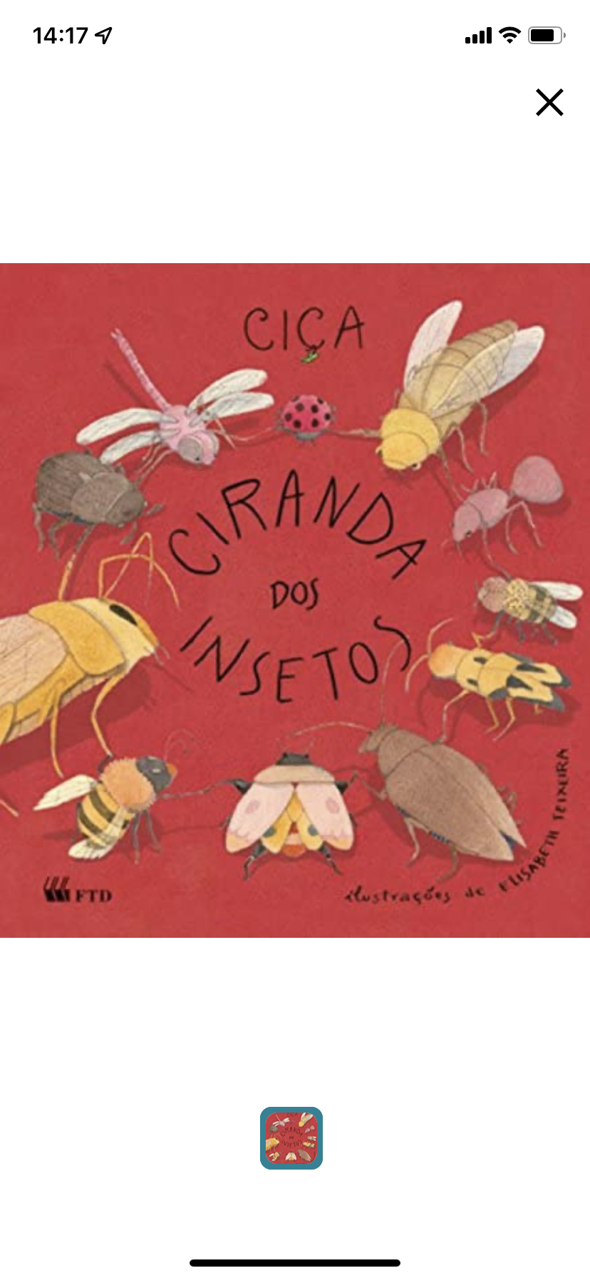 Ciranda dos Insetos
