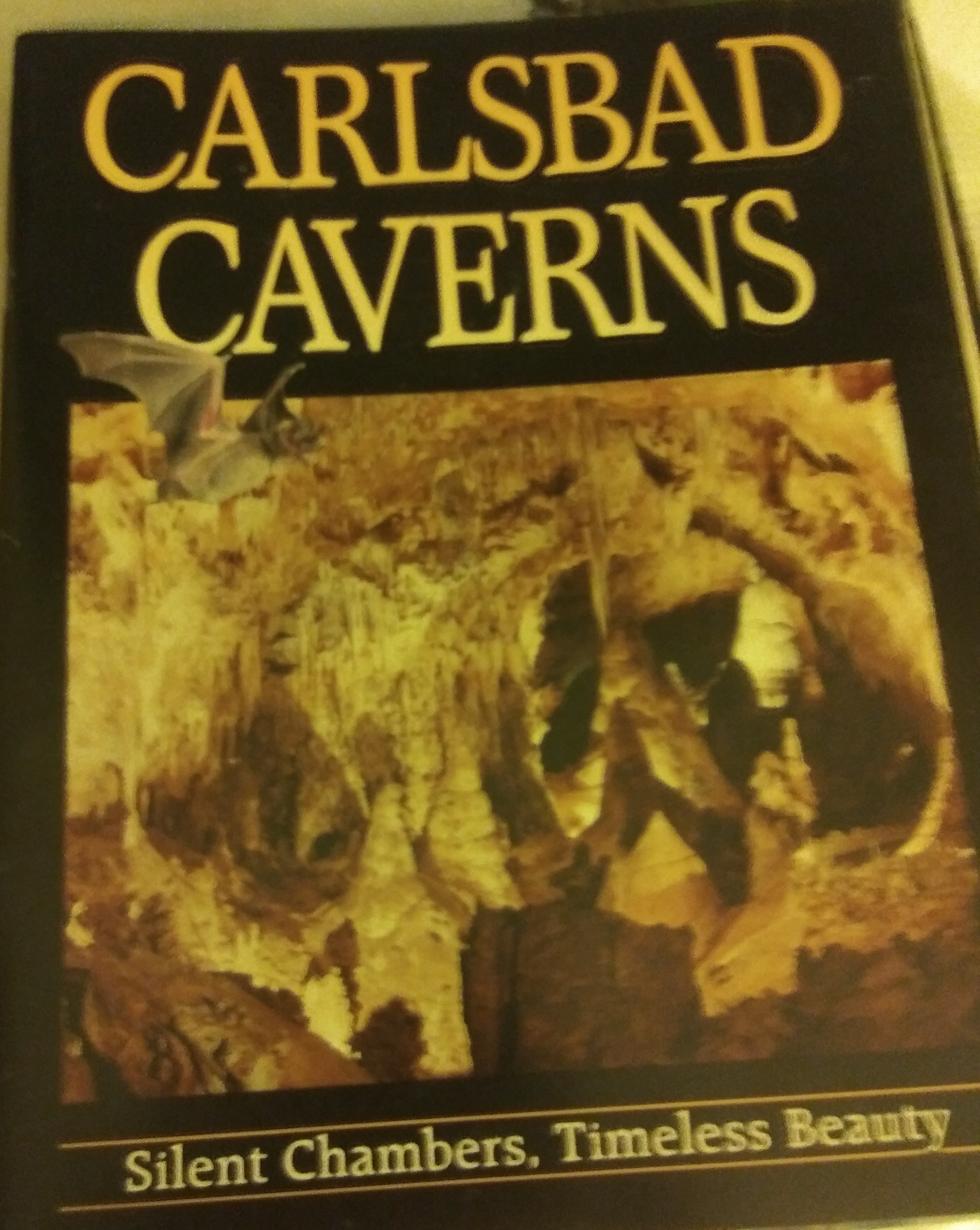 Carlsbad Caverns National Park Silent Chambers, Timeless Beauty (Paperback)