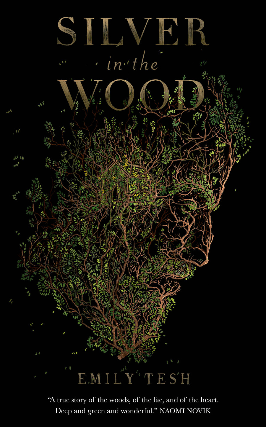 Silver in the Wood (The Greenhollow Duology, #1)