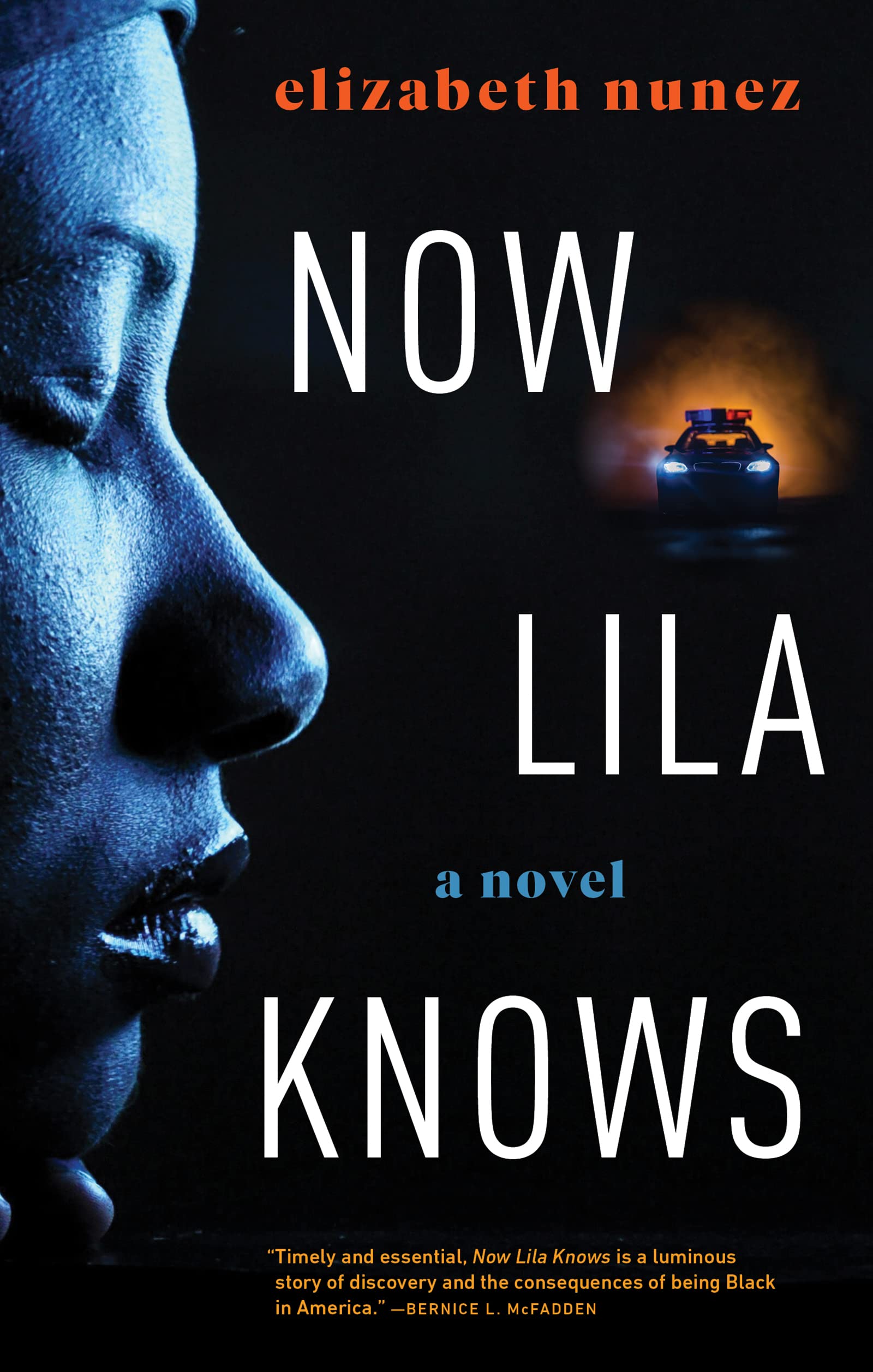 Now Lila Knows (Kindle Edition)