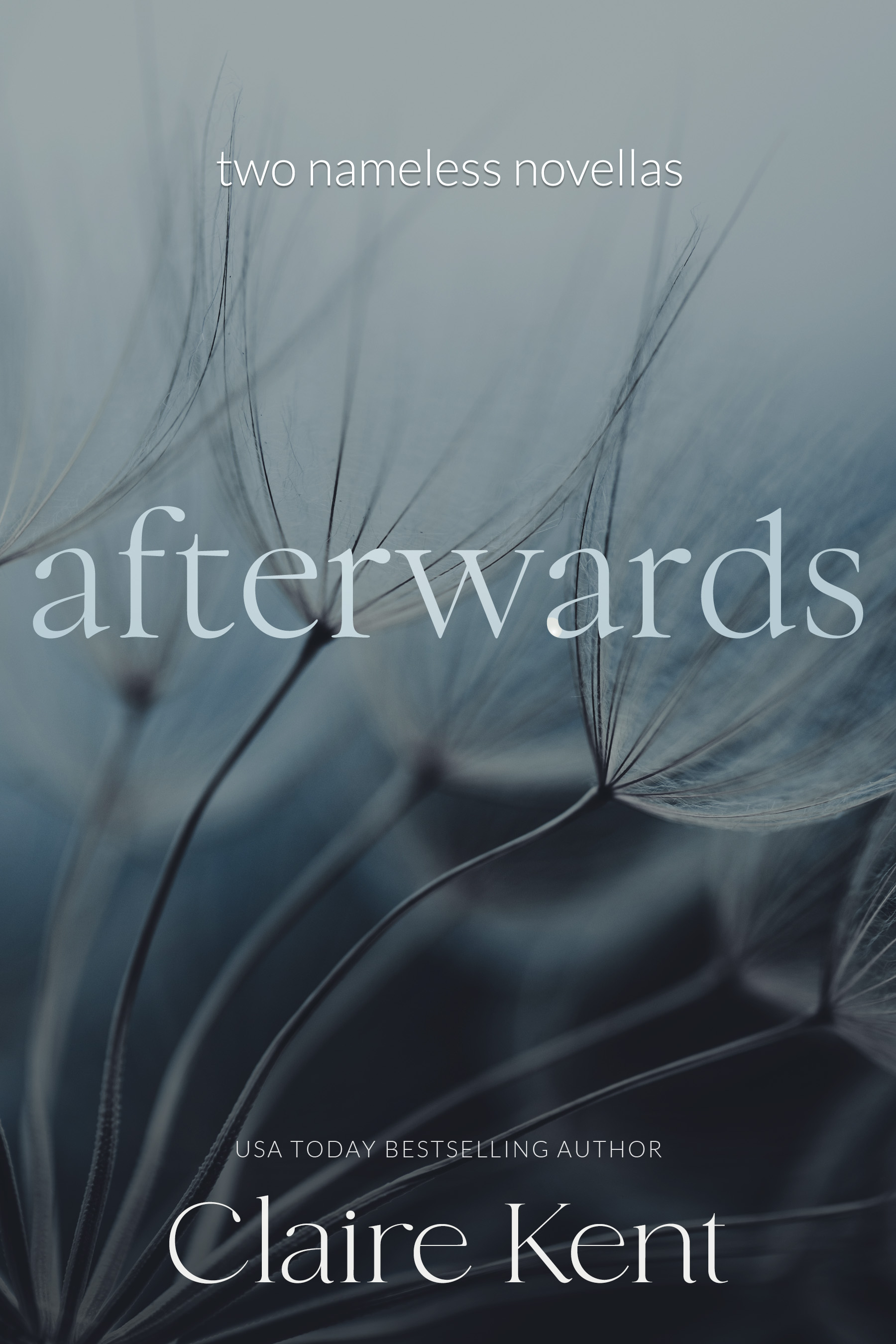 Afterwards: Two Nameless Novellas (Kindle Edition)