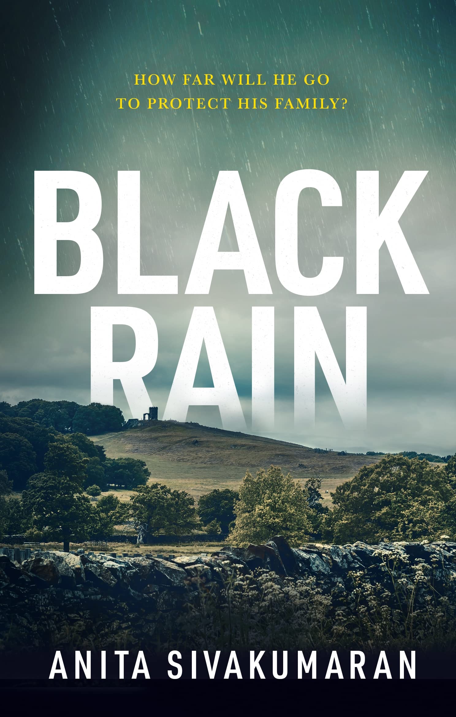 Black Rain: An utterly addictive crime thriller with breathtaking suspense (Detective Vijay Patel Book 2)