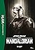 Star Wars : The Mandalorian...