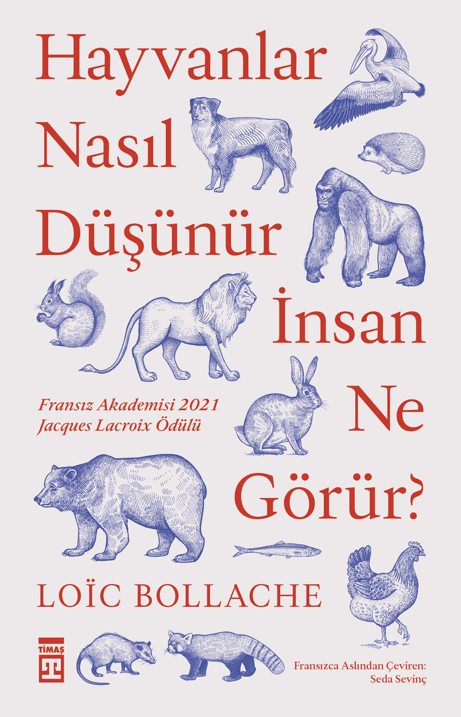 Hayvanlar Nasıl Düşünür İnsan Ne Görür? (Paperback)