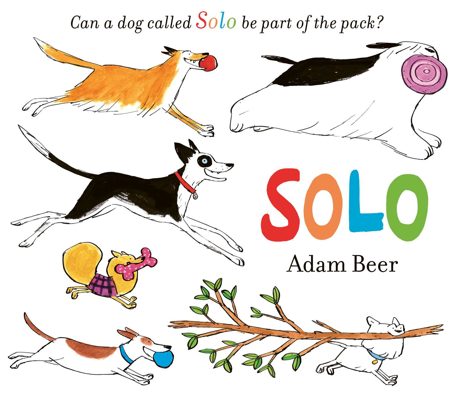 Solo (Kindle Edition)
