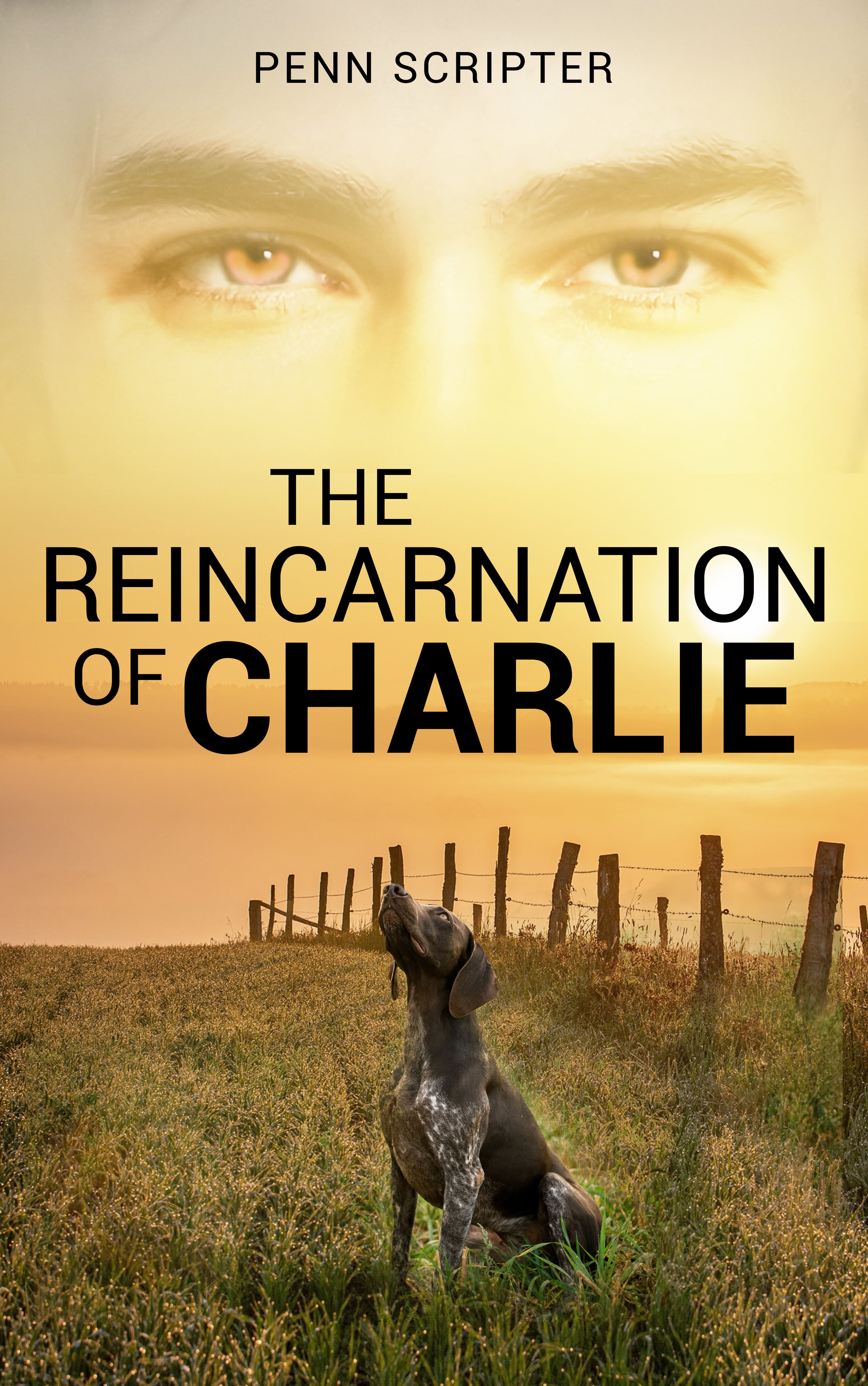 The Reincarnation of Charlie