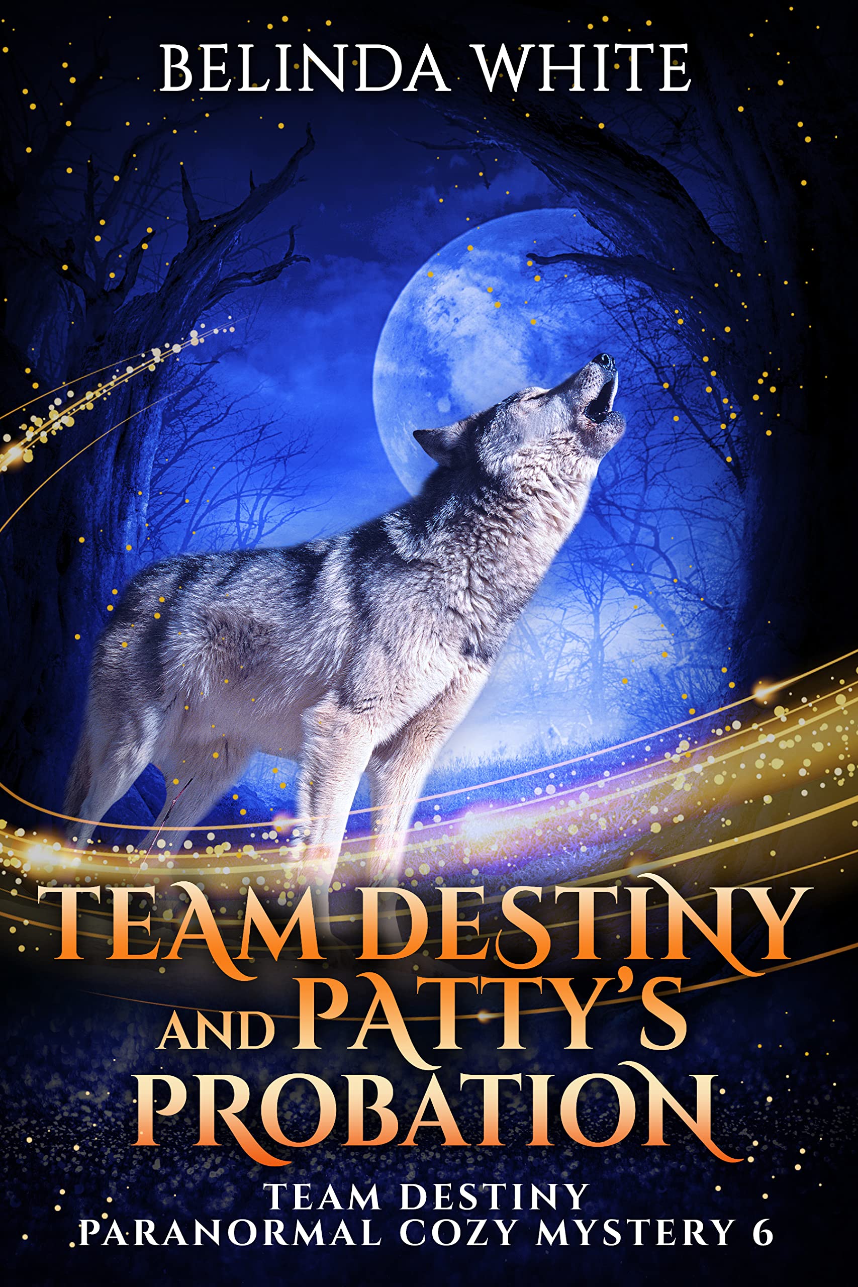 Team Destiny and Patty's Probation (Team Destiny Paranormal Cozy Mystery Book 6)