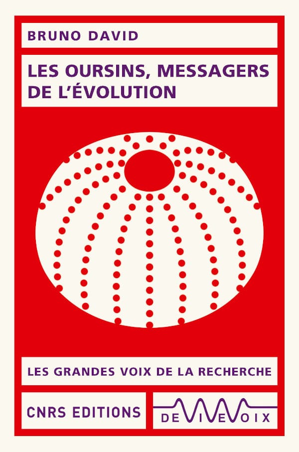 Les oursins, messagers de l'évolution (Mass Market Paperback)