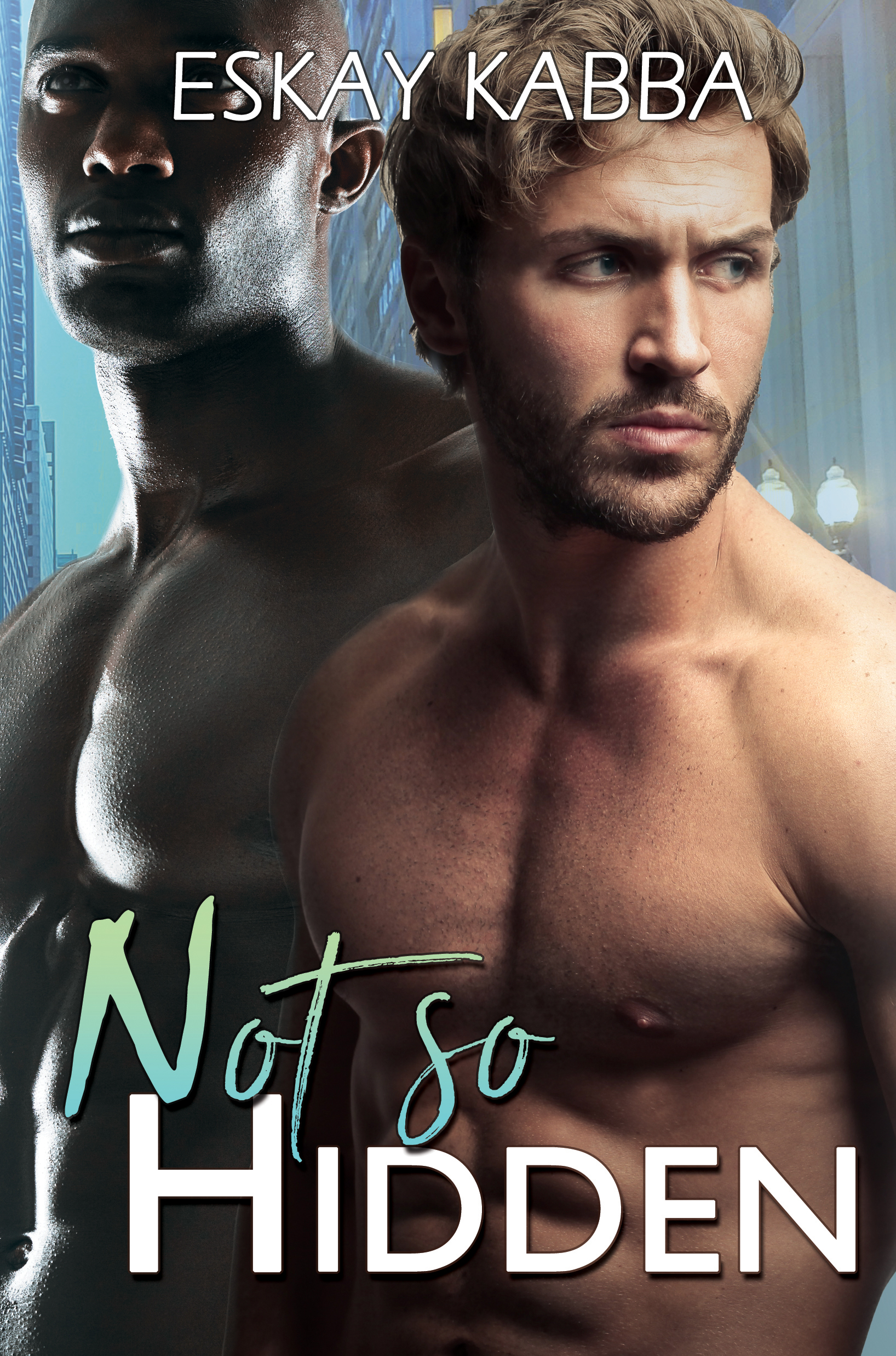 Not So Hidden (Hidden Love, #2)