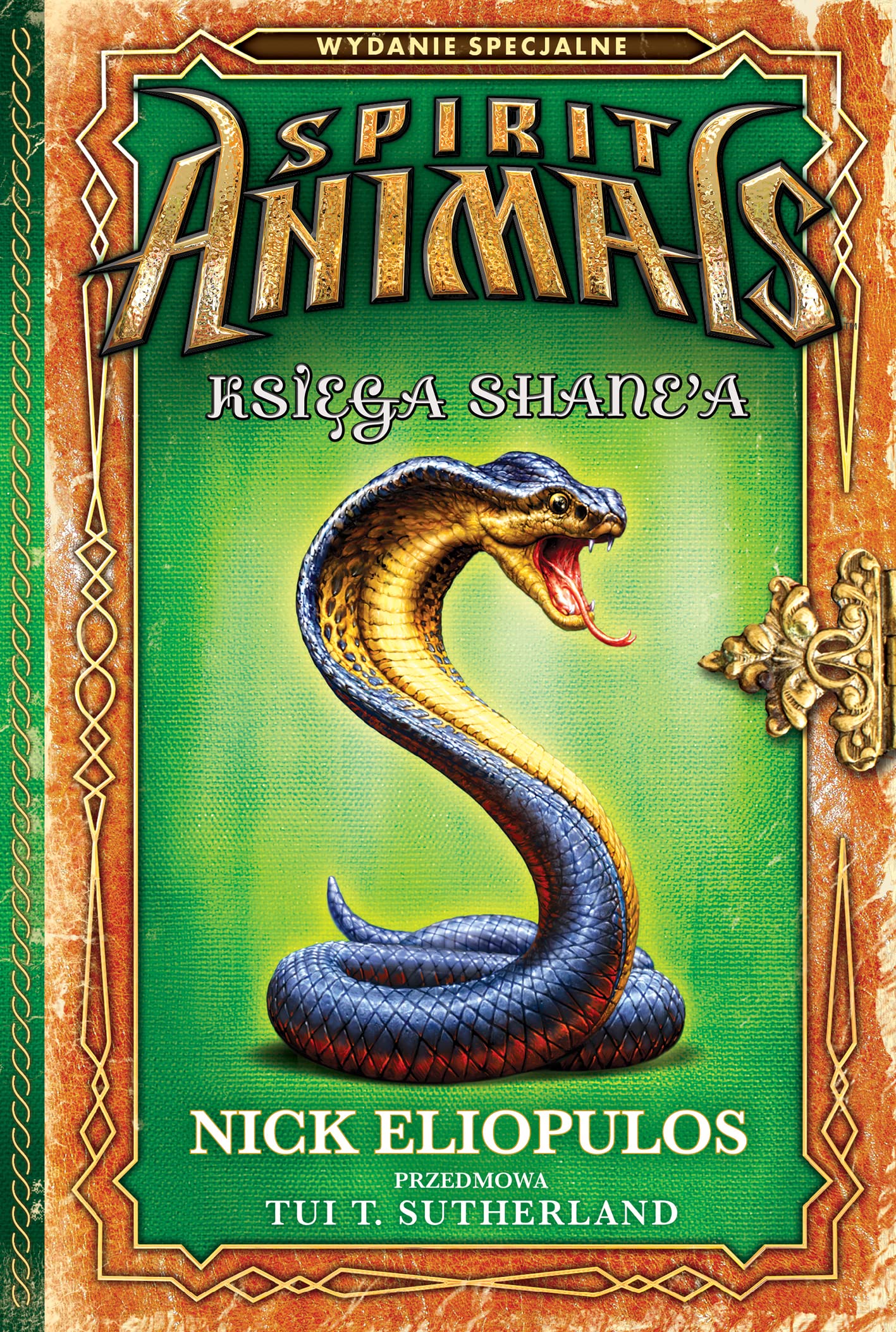 Spirit Animals. Ksiega Shane'a (Hardcover)