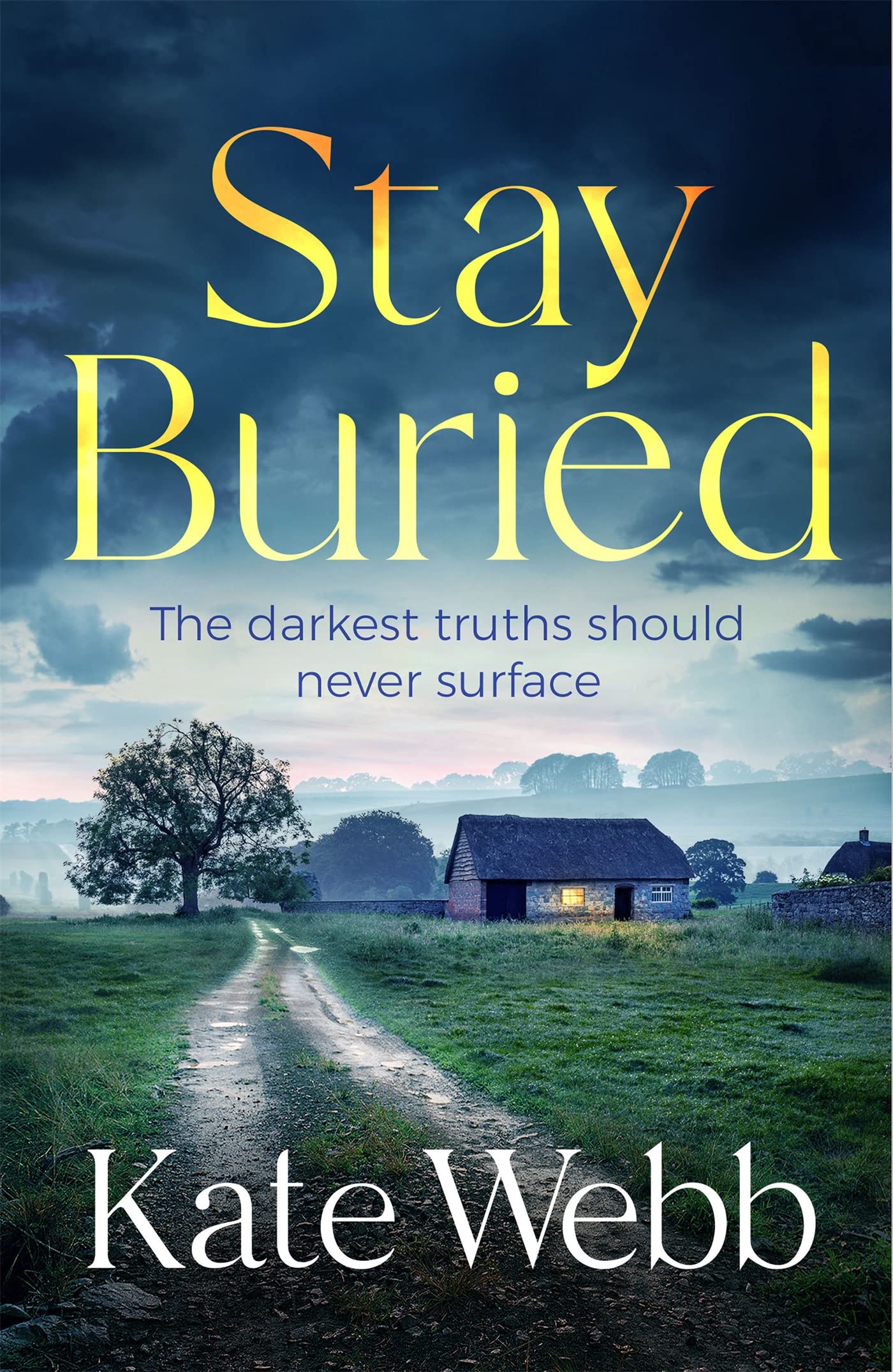 Stay Buried (DI Lockyer, #1)