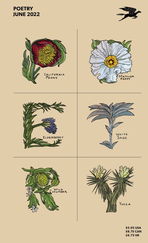 Poetry Magazine June 2022 (Paperback)