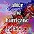 After the Hurricane: A Novel