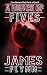 A Bunch of Fives—Five Stories That Pack a Punch by James           Flynn