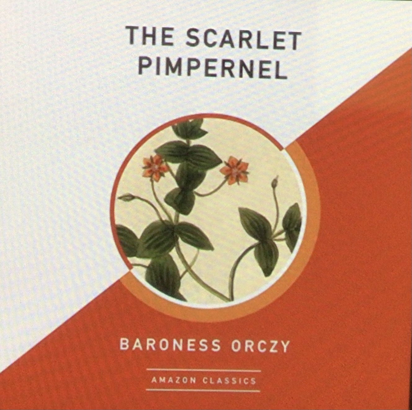 The Scarlet Pimpernel