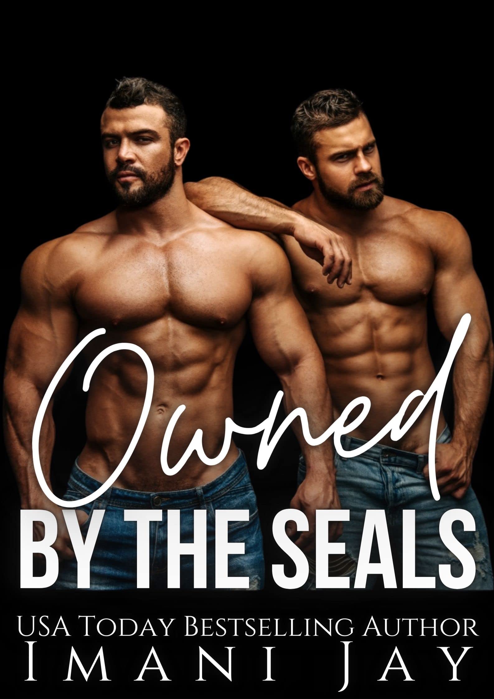 Owned By The SEALs (Owned Body & Soul)