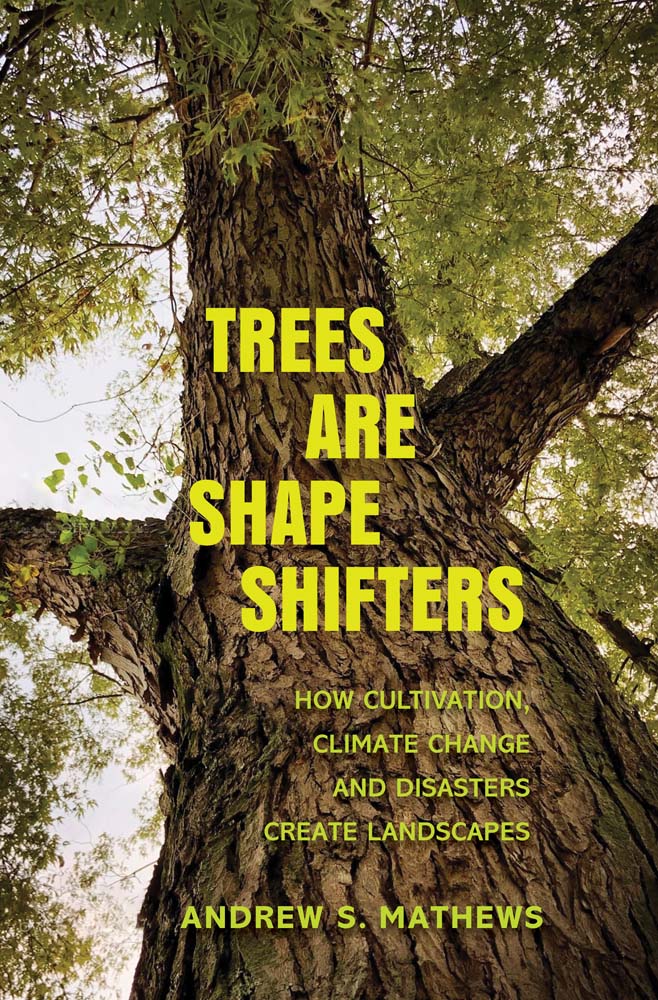 Trees Are Shape Shifters: How Cultivation, Climate Change, and Disaster Create Landscapes (Yale Agrarian Studies Series)