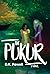 The Pukur