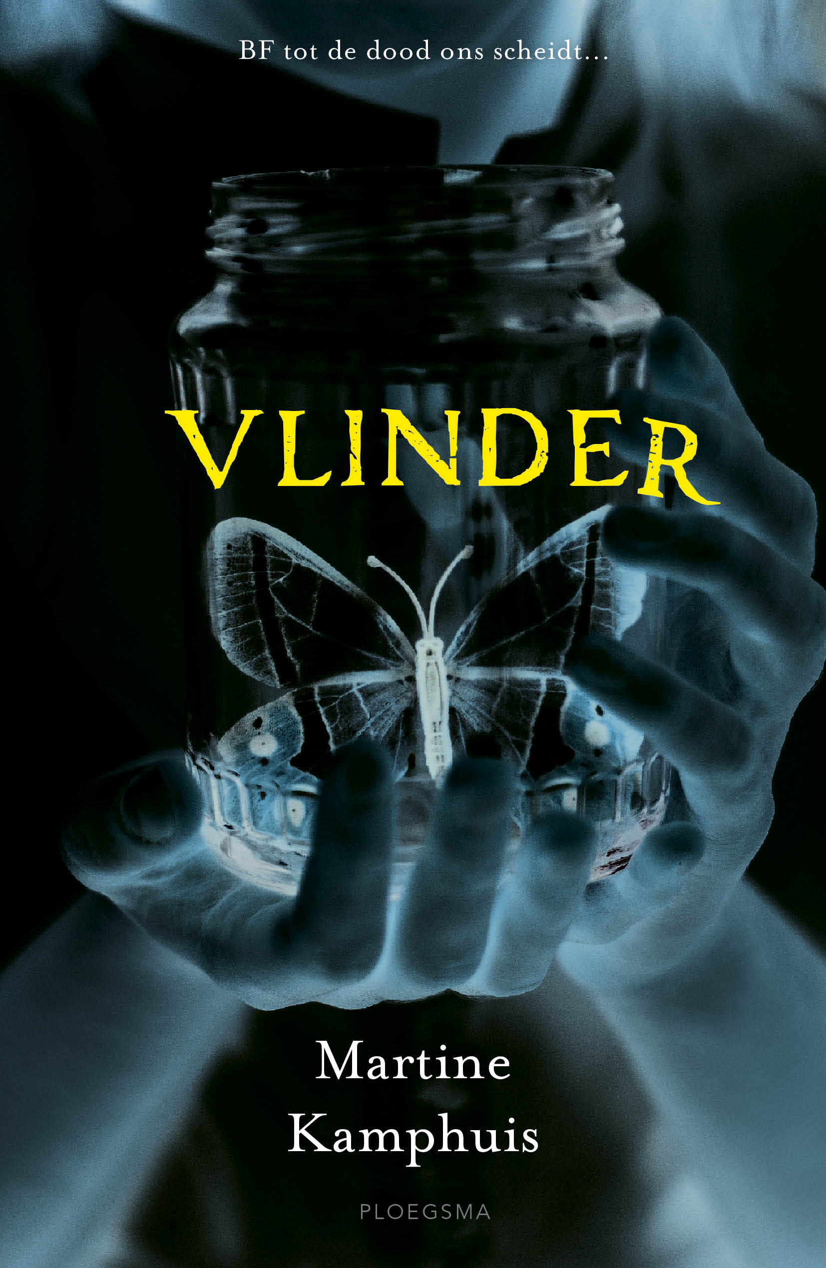 Vlinder (Paperback)