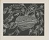 The Unknown Vegetable by Edward Gorey