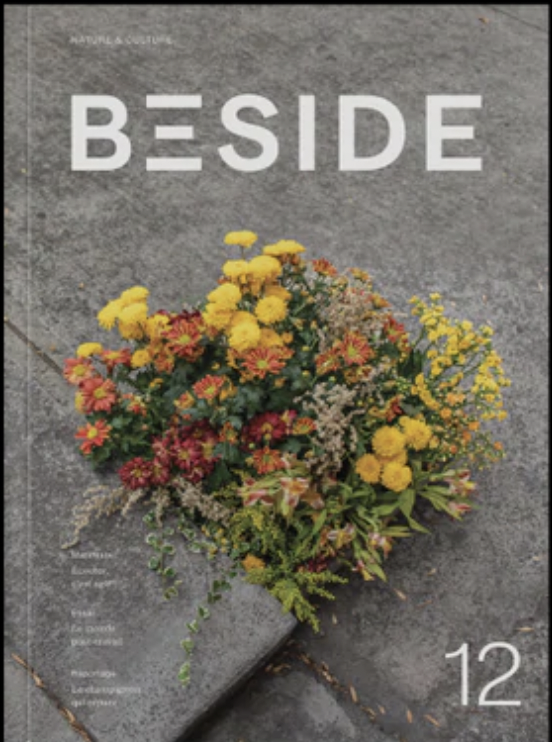 Quels pouvoirs voulons-nous? (Beside magazine, #12)