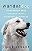 Wonderdog: The Science of D...