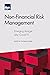 Non-Financial Risk Manageme...