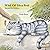 What Cat Likes Best Rhymes for children by Erwin Moser